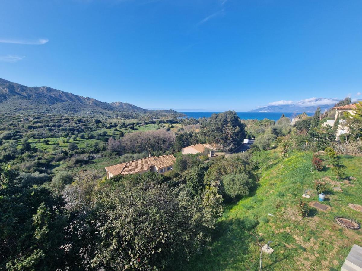 Appartement Vue Mer Fromontica Saint-Florent  Exterior photo